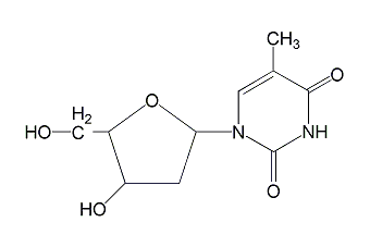 thymidine