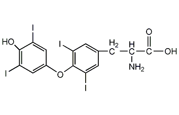 l-thyroxine structural formula