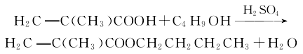 n-butyl methacrylate